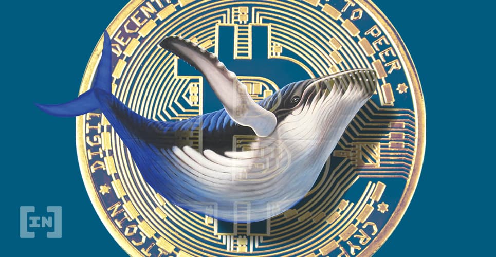 Les baleines BTC ont réalisé des profits lors du rallye Bitcoin d&#8217;août à novembre: rapport OKEx