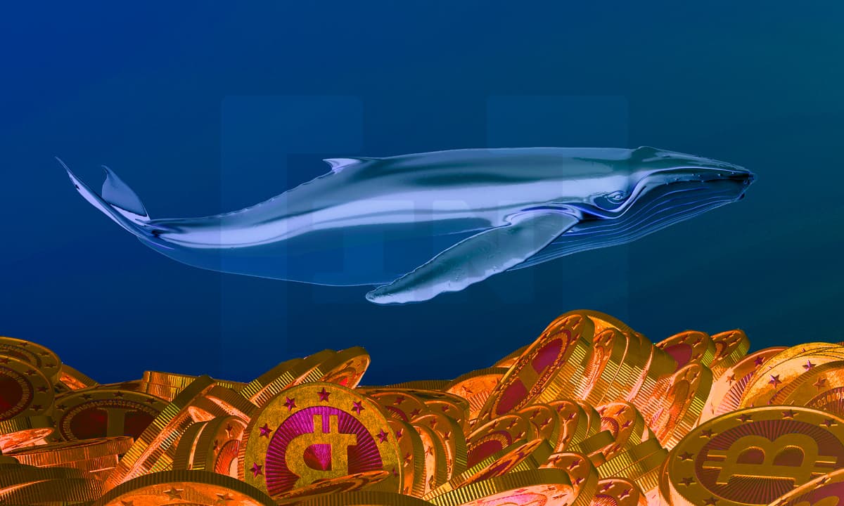 Analyse on-chain de Bitcoin : les gros comptes accumulent leurs BTC tandis que les petits comptes vendent