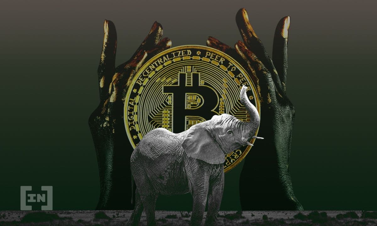 Cryptomonnaies en Afrique : Le chemin de l’adoption est inévitable !