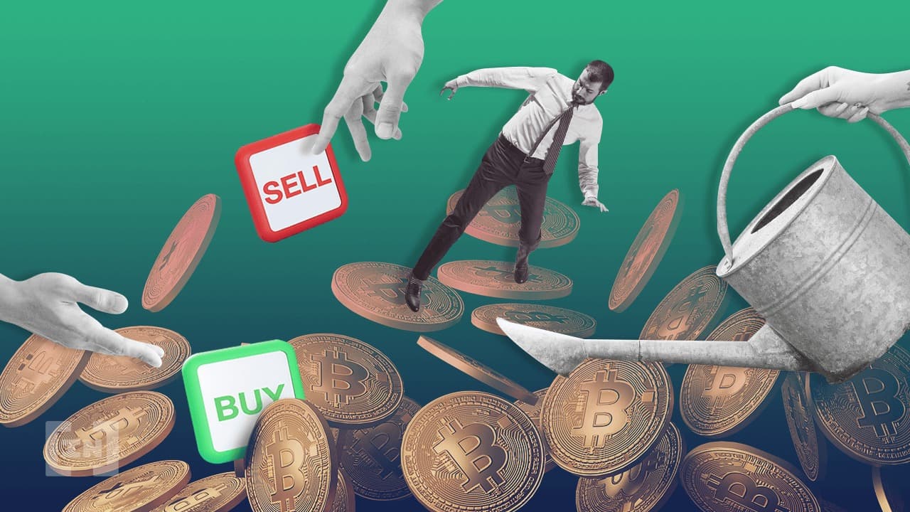 Crypto : voici comment gagner un bonus de 1 200 € sur Bitpanda