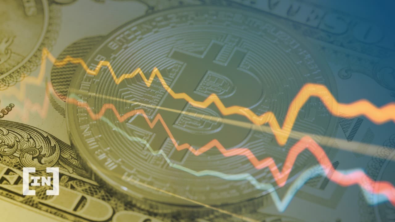 Actions crypto : ces investissements aurez pu vous rapporter 1 000 % !