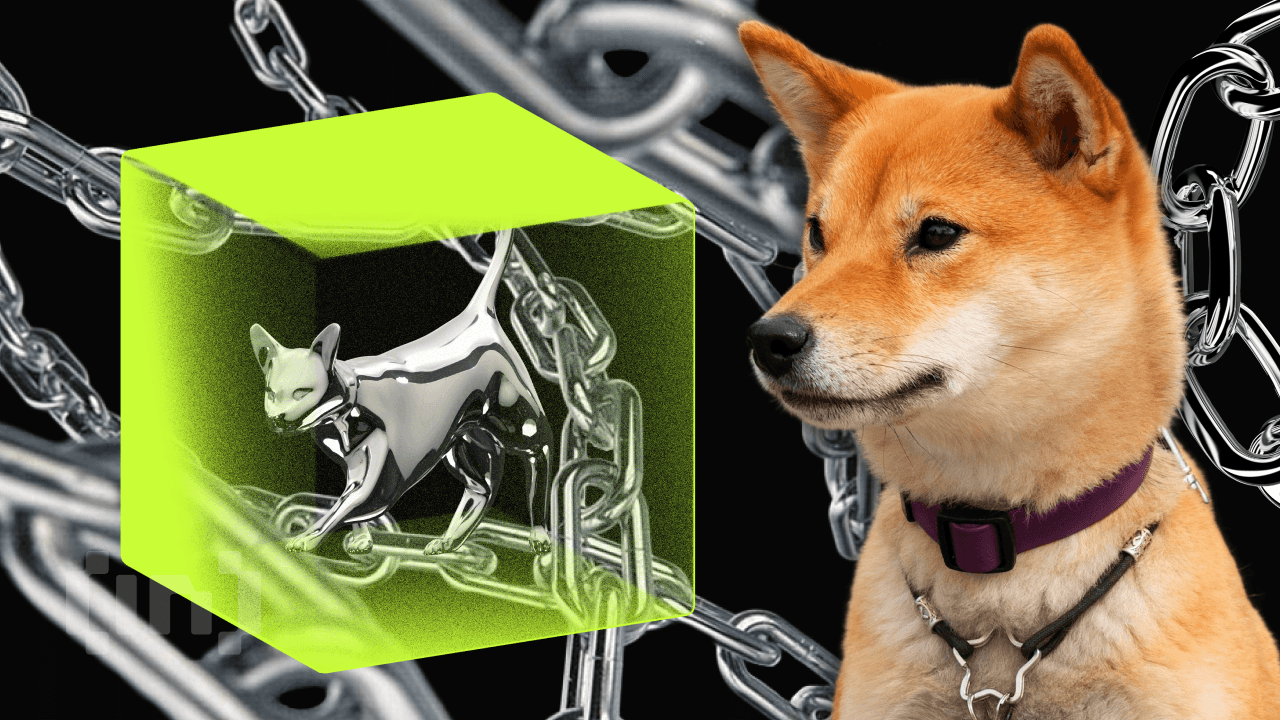Shiba Inu (SHIB) n&#8217;est pas au bout de ses peines