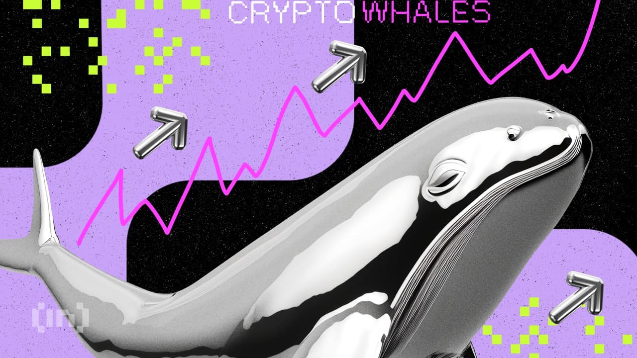 Les baleines Bitcoin transfèrent près de 100 000 BTC : A quoi s’attendre pour le futur ?
