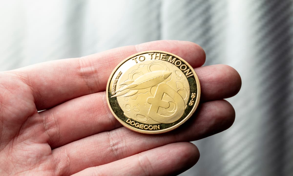 Dogecoin et Bonk sont dans le rouge alors que la meme coin rivale atteint 1,5 million de dollars durant son ICO