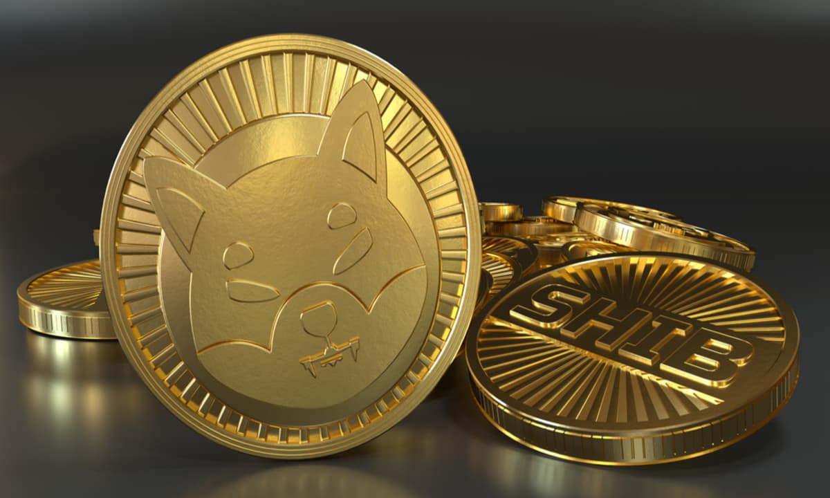 L&#8217;alternative à Shiba Inu lève 700 000 dollars lors d&#8217;une ICO &#8211; Comment ses performances se comparent-elles à celles du Dogecoin en 2023 ?