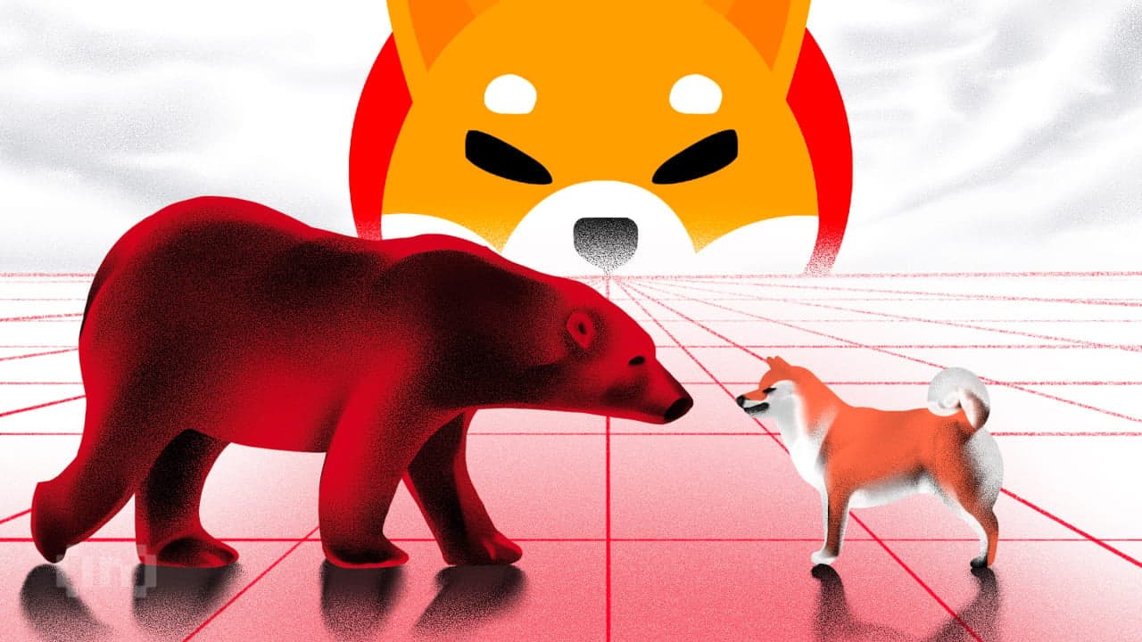 Shiba Inu (SHIB) n&#8217;a pas fini de chuter