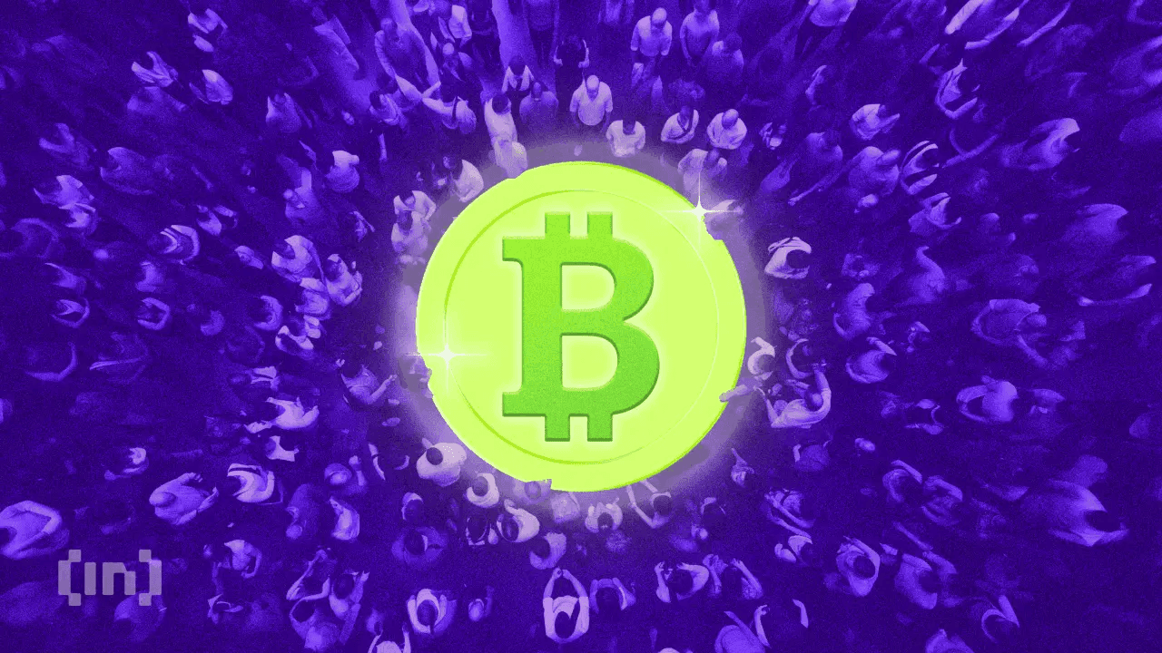 Lorsque Bitcoin chute, les entreprises de trésorerie chutent quatre fois plus ; pourquoi ?