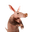 Aardvark [OLD]