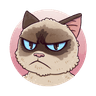 Grumpy Meme