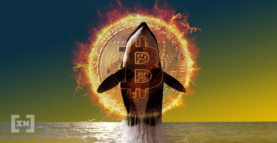 Bitcoin : accumulation des whales au niveau de 20 000 $ ?