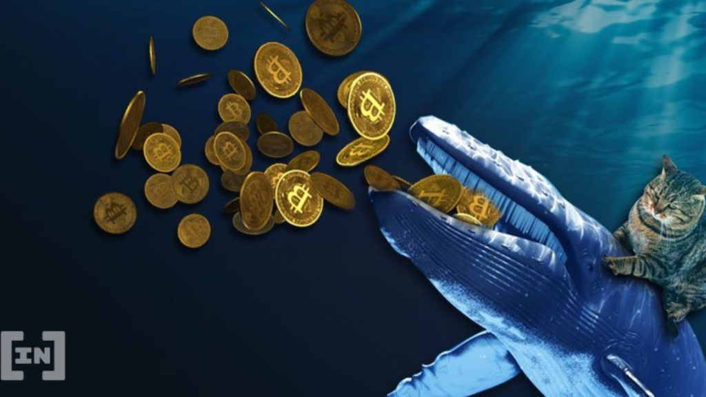 Une baleine du Bitcoin déplace 361 millions de dollars en BTC sur différents portefeuilles