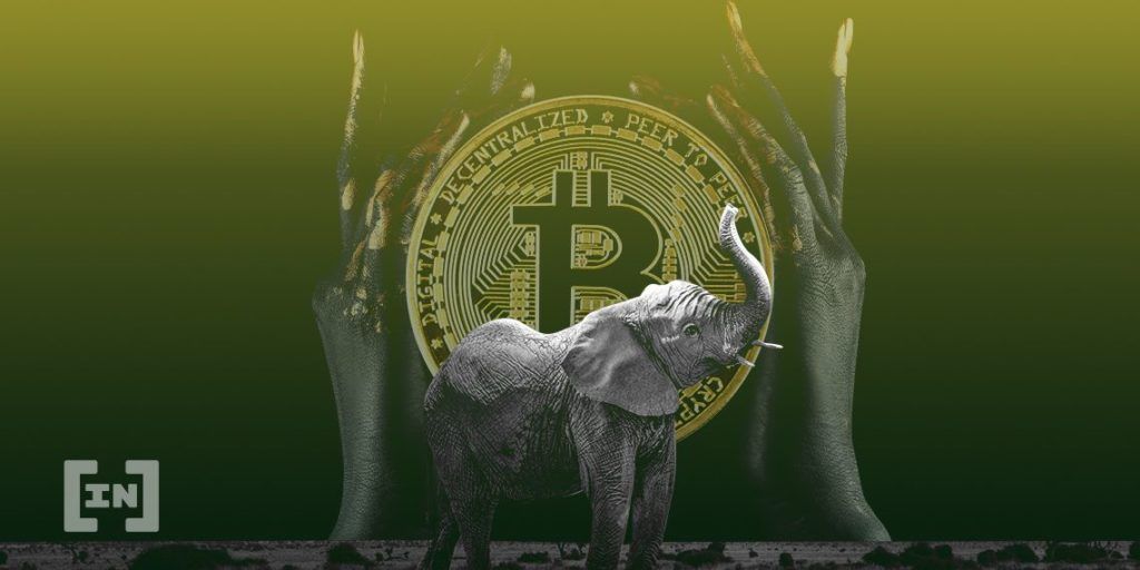 L’industrie crypto s’épanouit sur le continent africain