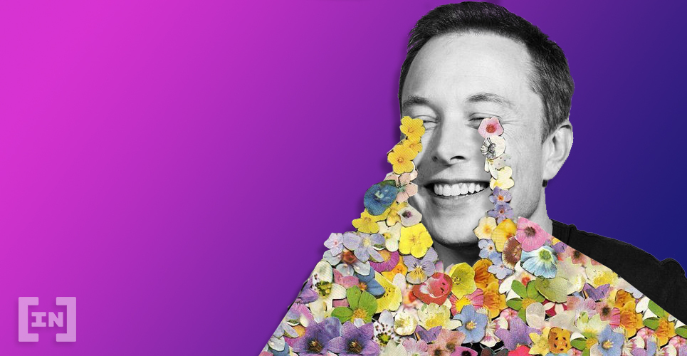 Elon Musk Doge