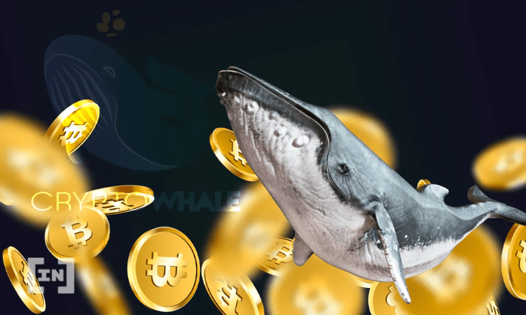 Quelles sont les plus grosses baleines de Bitcoin ?