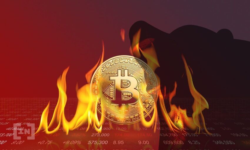 Bitcoin (BTC) chute à un nouveau creux annuel de 24 100 $