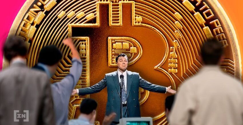Wolf of Wall Street