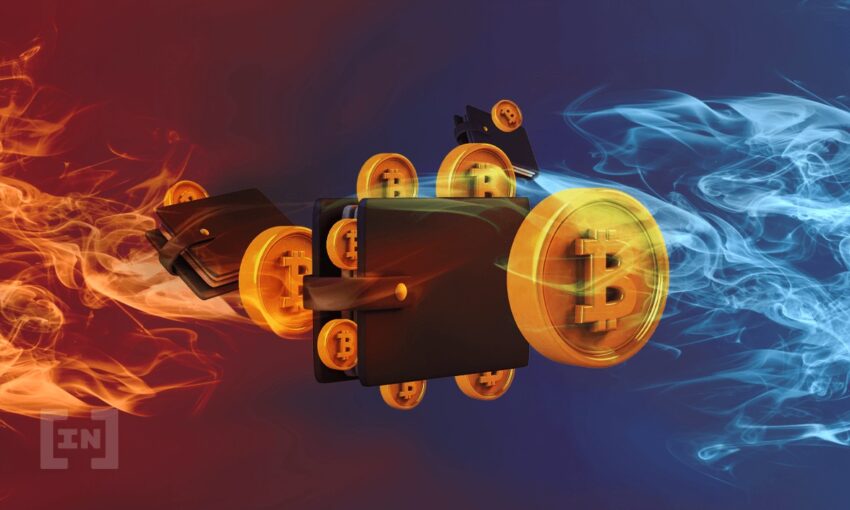 blockfi wallet