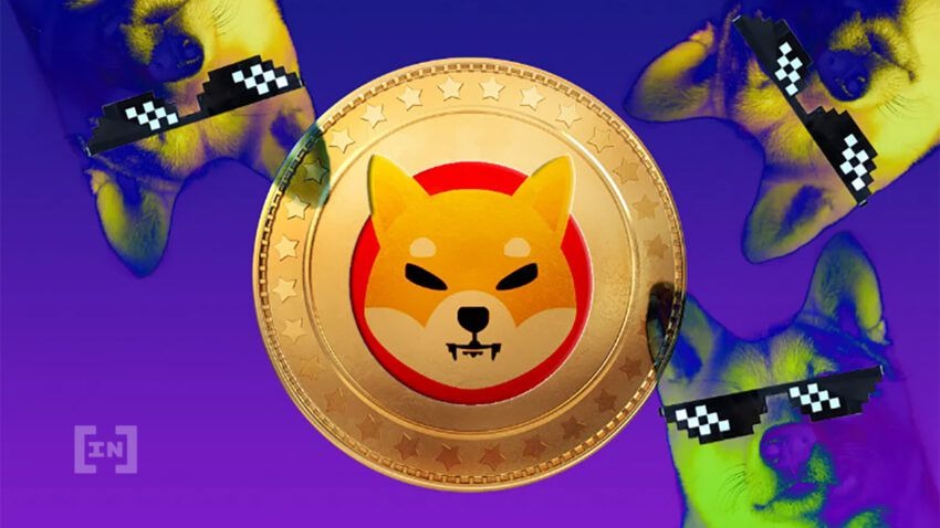 shiba inu