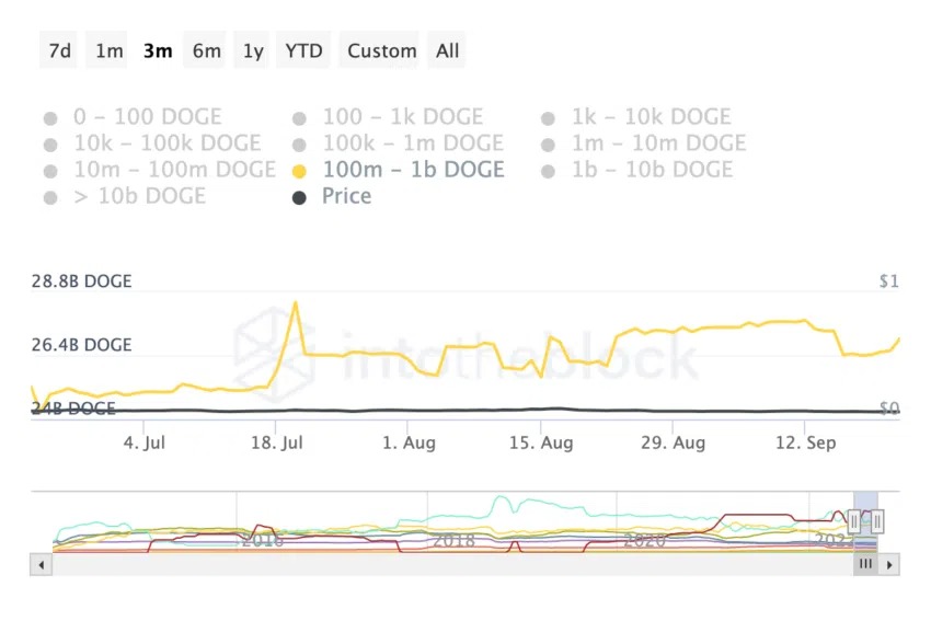 Doge cours