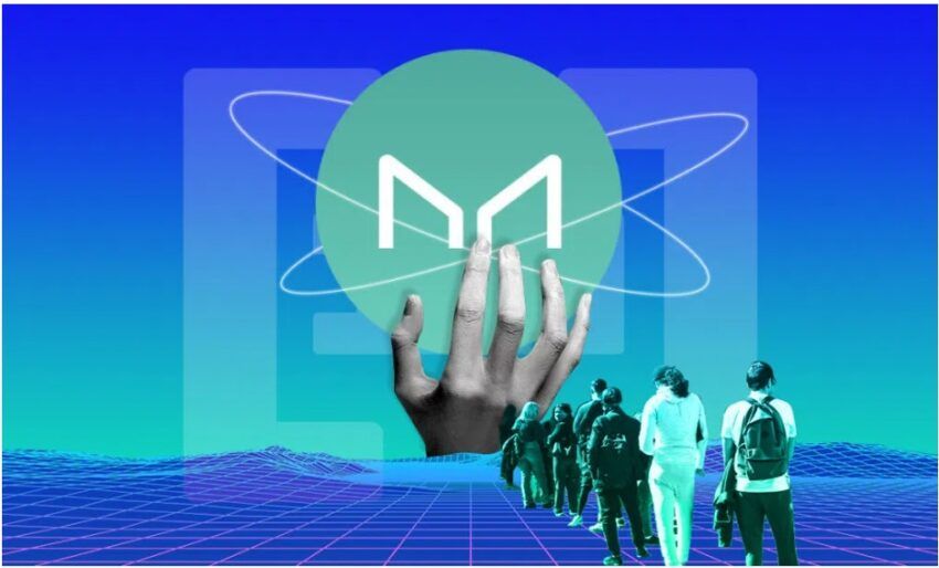 marker dao