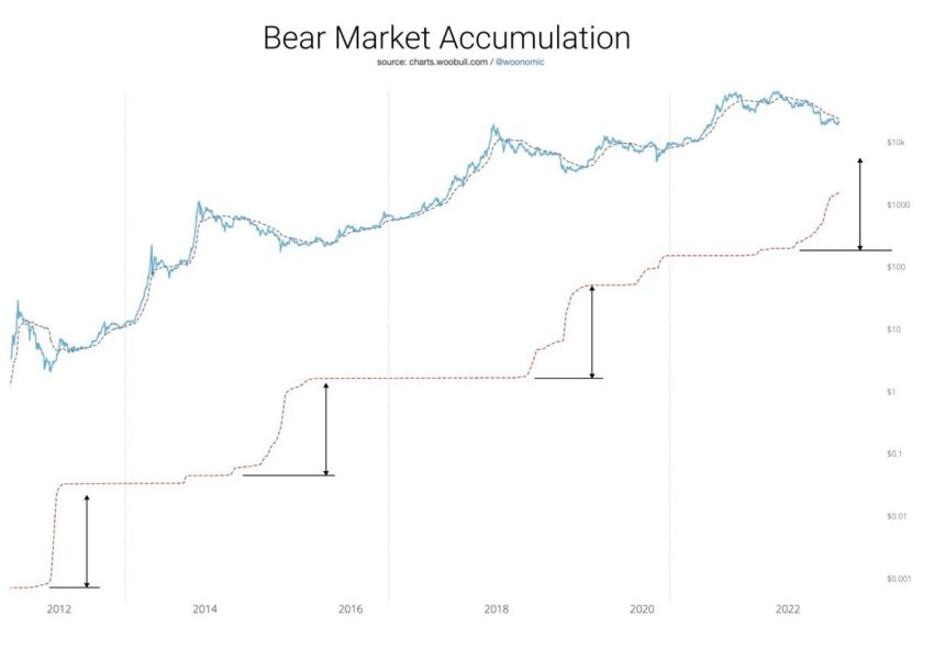 bitcoin accumulation