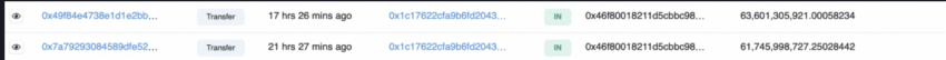 données fournies par Etherscan sur Shiba Inu