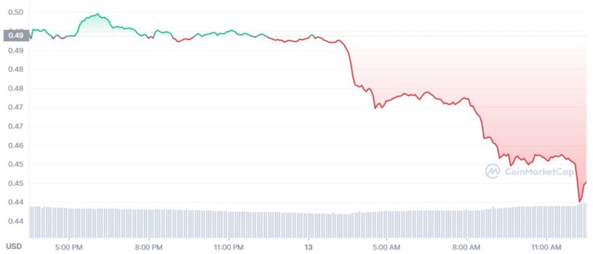xrp ripple