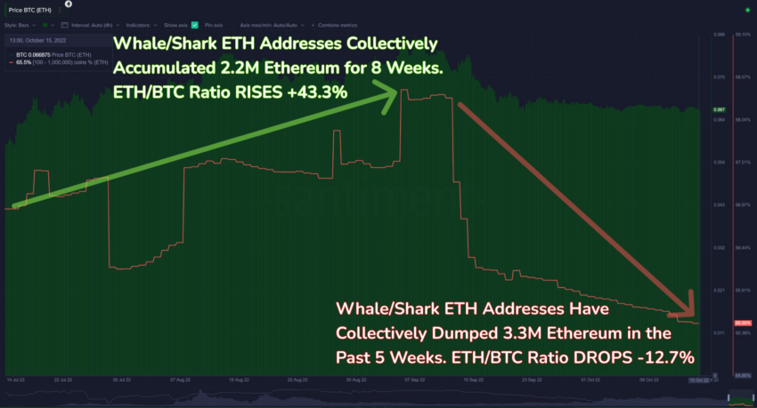 baleiens ethereum