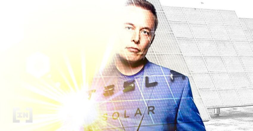 Elon Musk bitcoin