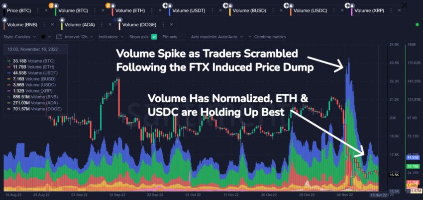 volume marché crypto