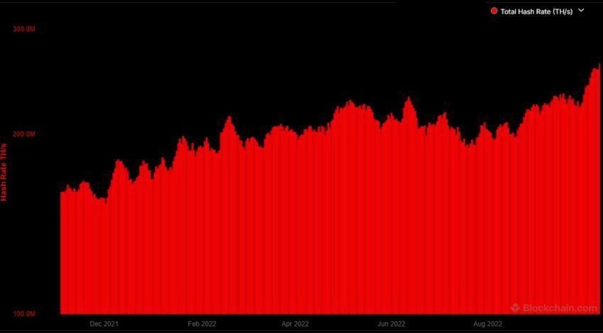 Hashrate Bitcoin