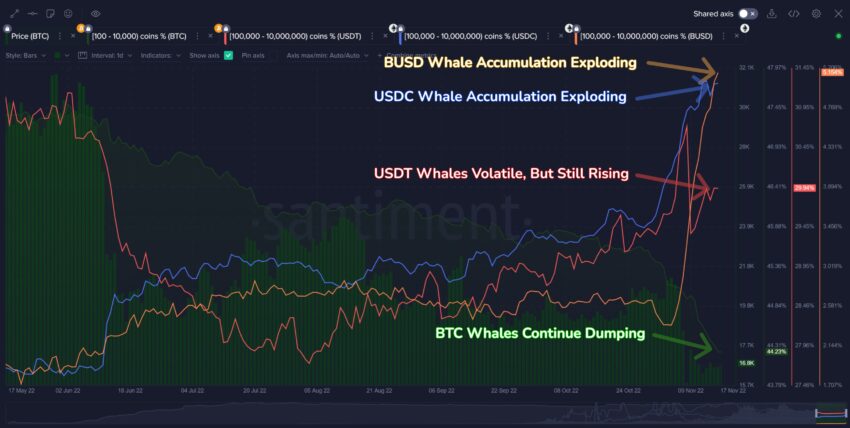 baleines crypto