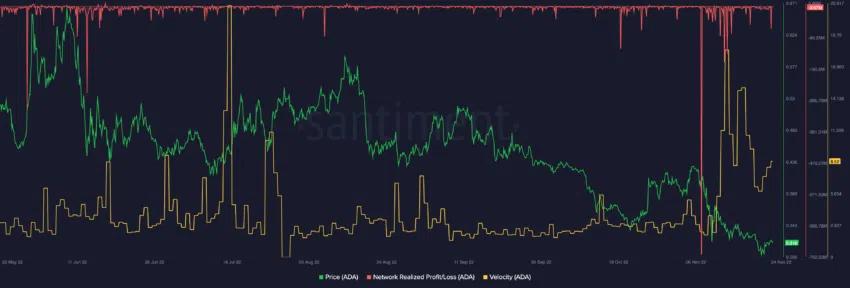 Cardano cours