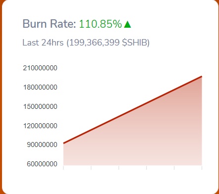 burn shib