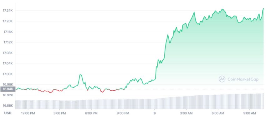 bitcoin cours bear market