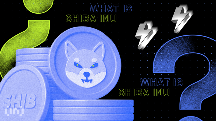 Shiba Inu (SHIB) : une opportunité pour les bulls ?