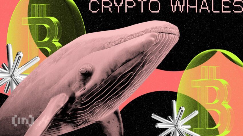 Les baleines crypto profitent de la chute du BTC & d’ETH