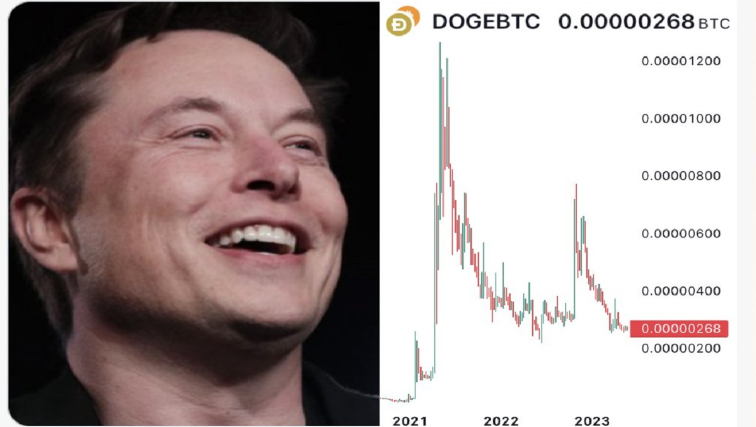 Elon Musk déconseille maintenant DOGE — quelles alternatives crypto avons-nous ?