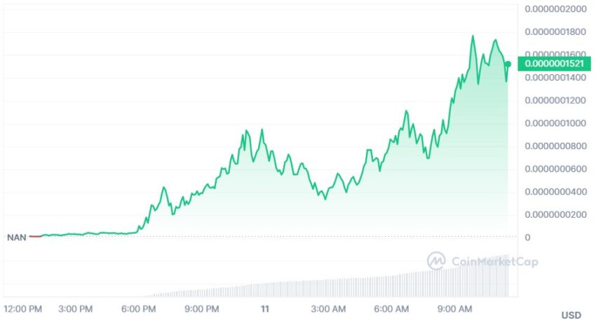 Ladys cours crypto