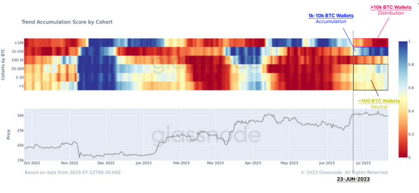 accumulation bitcoin
