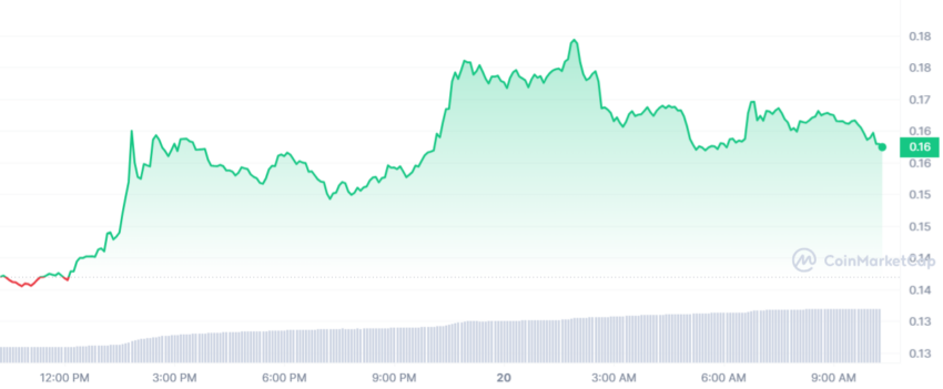 cours XLM