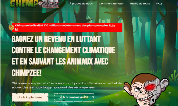 Voici pourquoi Chimpzee est un bon investissement pour l’avenir