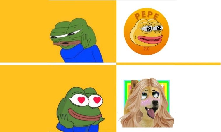 Alors que PEPE est en baisse le meme coin Shibie ouvre sa prévente