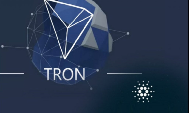 Alors que Tron et Cardano stagnent WSM va-t-il pump ?