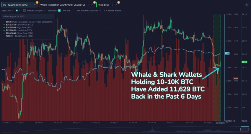 Détenteurs de BTC