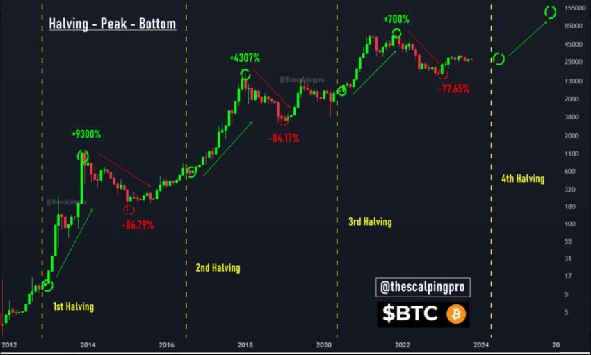 halving