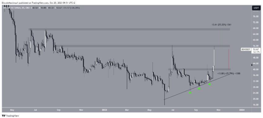 cours BSV