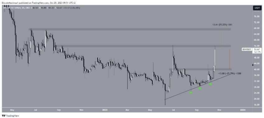 cours BSV