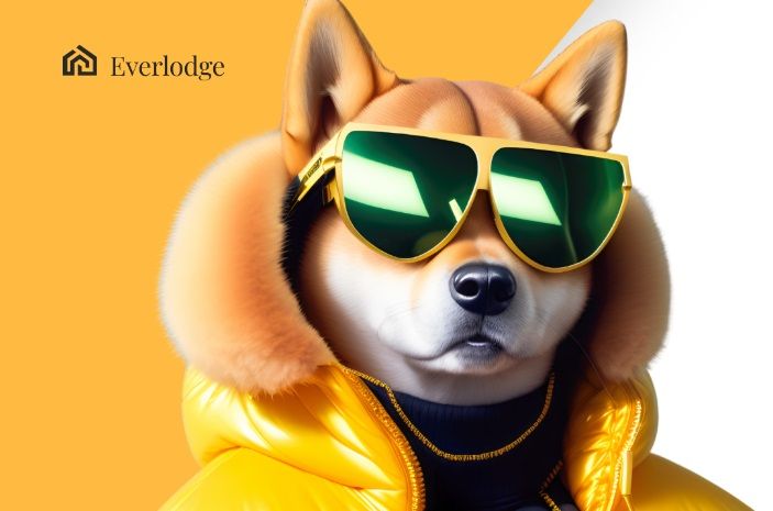 Cryptos haussières à ne pas rater pour le T4 : Shiba Inu, Ethereum et Everlodge