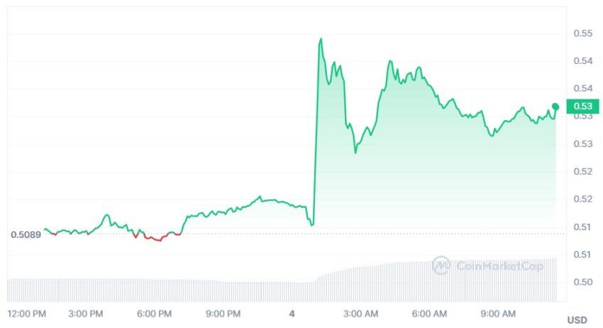 xrp ripple